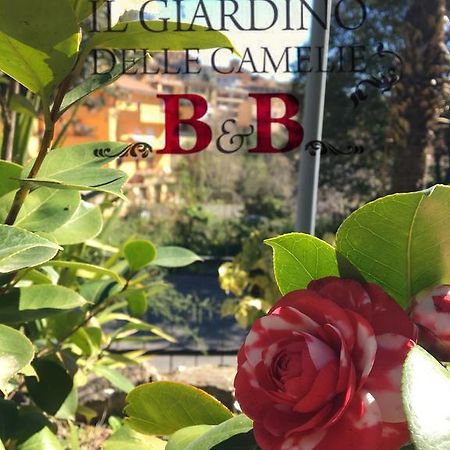 B&B Il Giardino Delle Camelie Palestrina Eksteriør billede