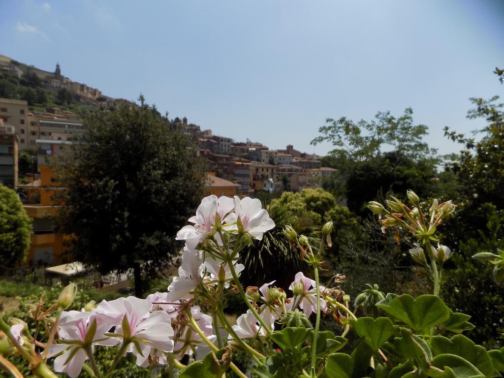 B&B Il Giardino Delle Camelie Palestrina Eksteriør billede