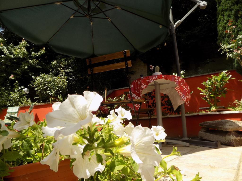 B&B Il Giardino Delle Camelie Palestrina Eksteriør billede