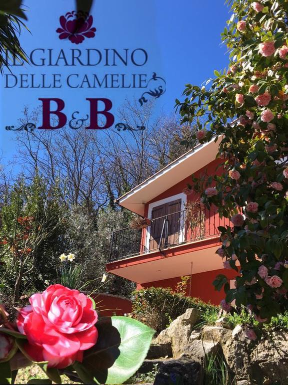B&B Il Giardino Delle Camelie Palestrina Eksteriør billede
