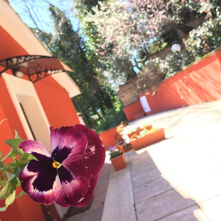 B&B Il Giardino Delle Camelie Palestrina Eksteriør billede