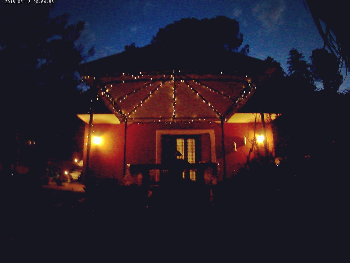 B&B Il Giardino Delle Camelie Palestrina Eksteriør billede