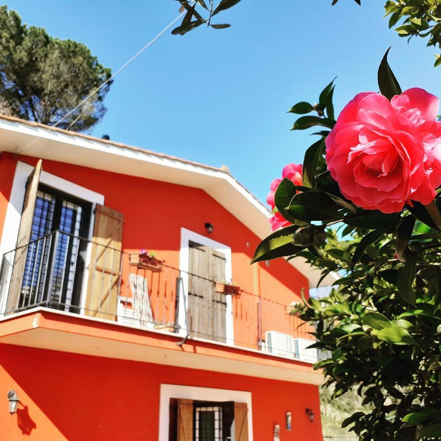 B&B Il Giardino Delle Camelie Palestrina Eksteriør billede